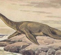 Плезиозавры