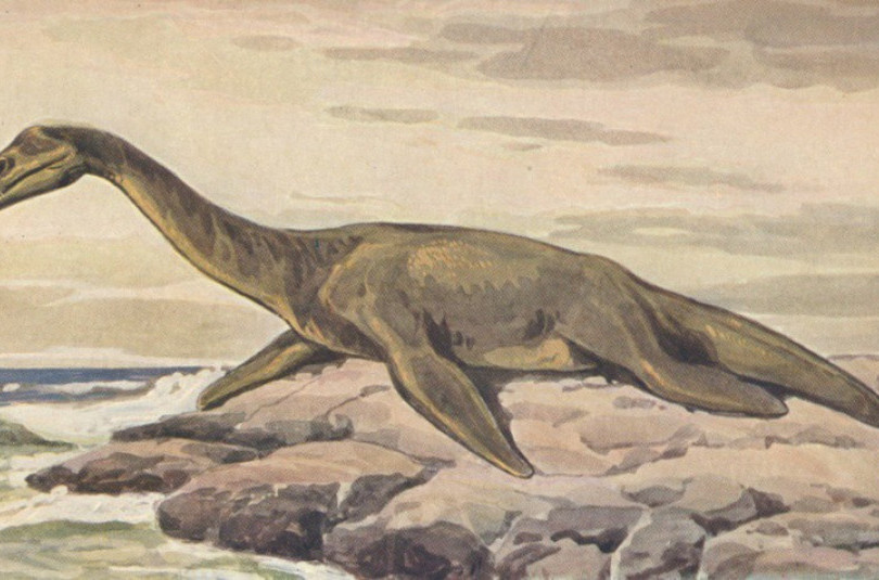 Плезиозавры