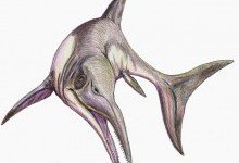 Ихтиозавры