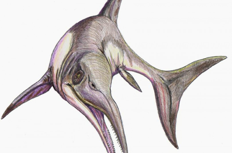 Ихтиозавры