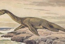 Плезиозавры